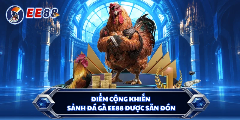 Điểm cộng khiến sảnh đá gà EE88 được săn đón