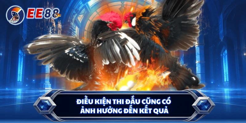 Điều kiện thi đấu cũng có ảnh hưởng đến kết quả
