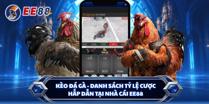 Kèo Đá Gà - Danh Sách Tỷ Lệ Cược Hấp Dẫn Tại Nhà Cái EE88